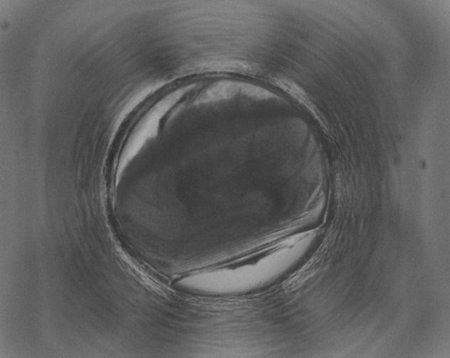 X0000067871024200605111754