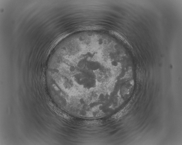 X0000067871025200605111754