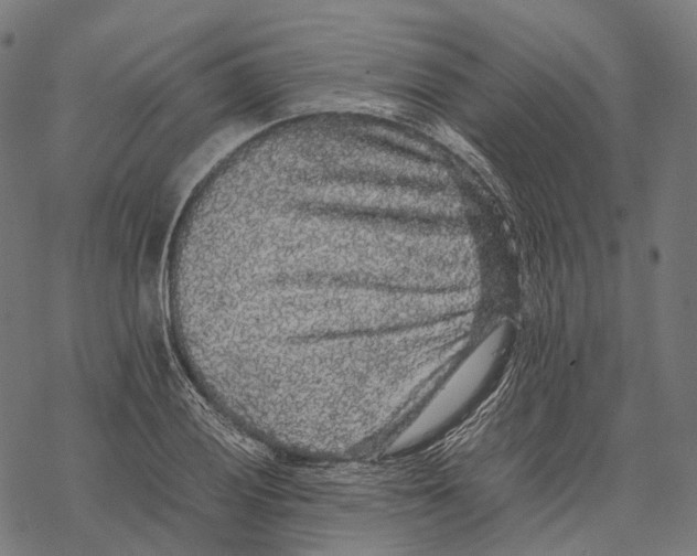 X0000067871028200605111754