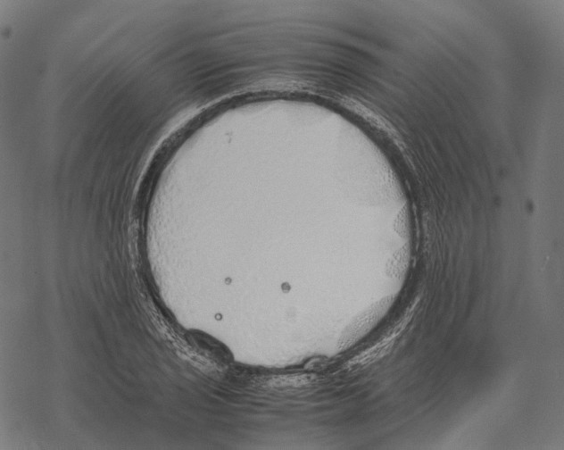 X0000067871029200605111754