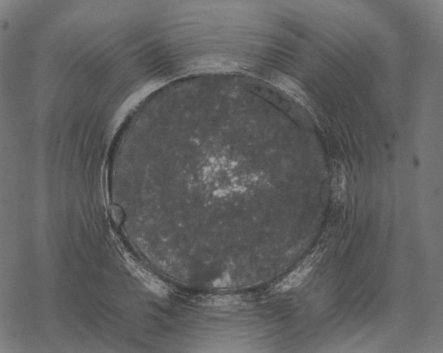 X0000067871030200605111754