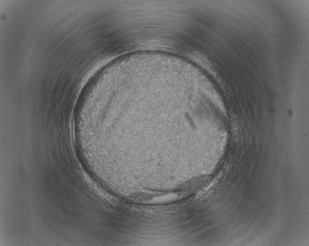 X0000067871032200605111754