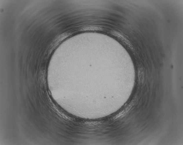 X0000067871033200605111754