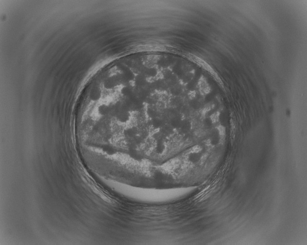 X0000067871035200605111754