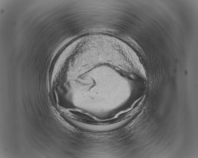 X0000067871036200605111754