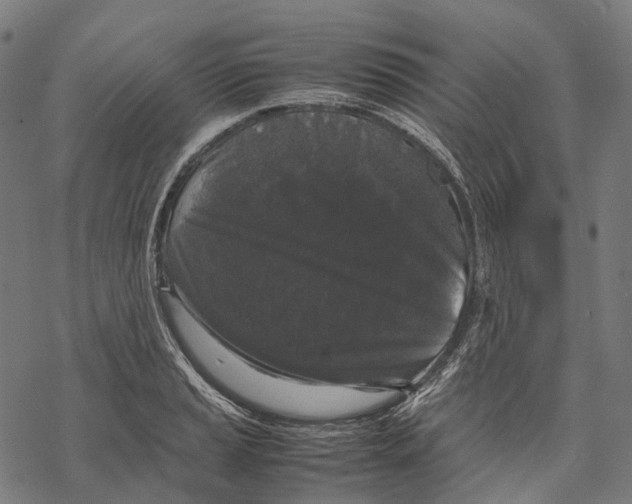 X0000067871037200605111754