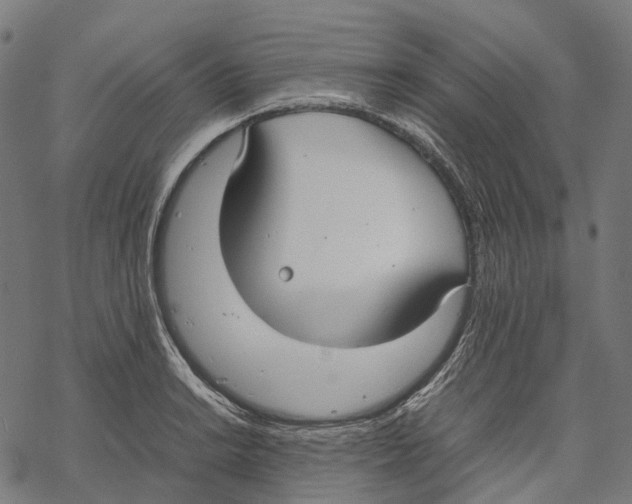 X0000067871038200605111754