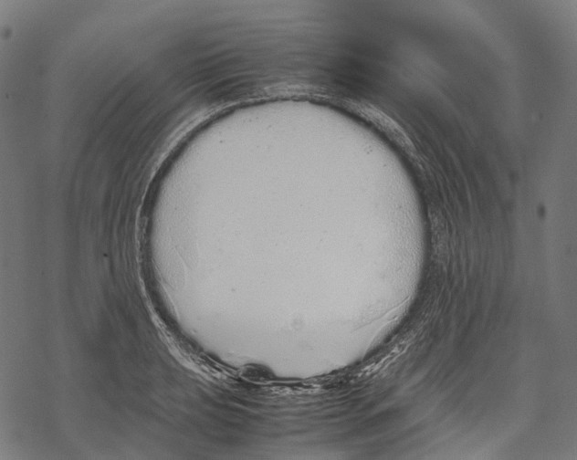 X0000067871039200605111754