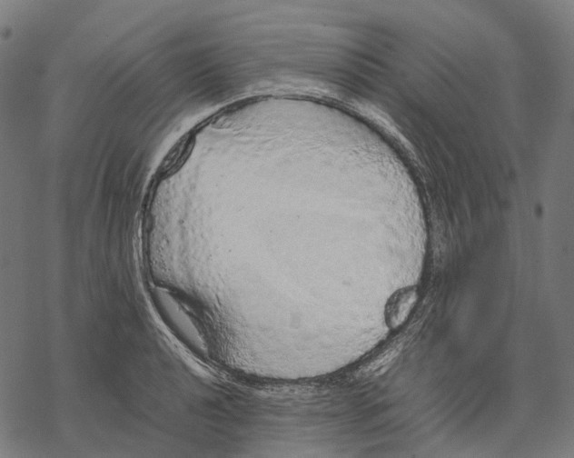 X0000067871040200605111754