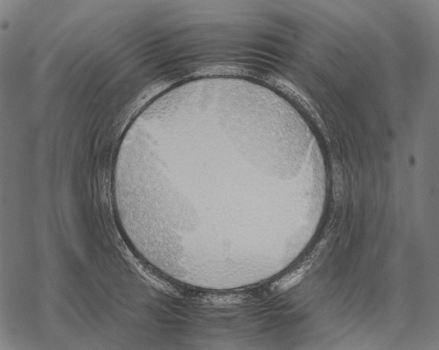 X0000067871041200605111754