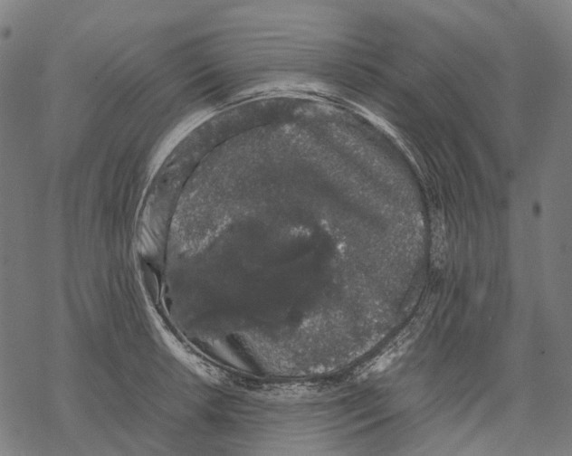 X0000067871042200605111754