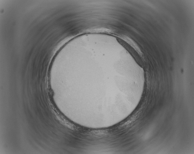 X0000067871044200605111754