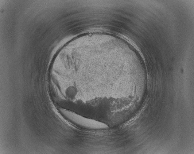 X0000067871045200605111754