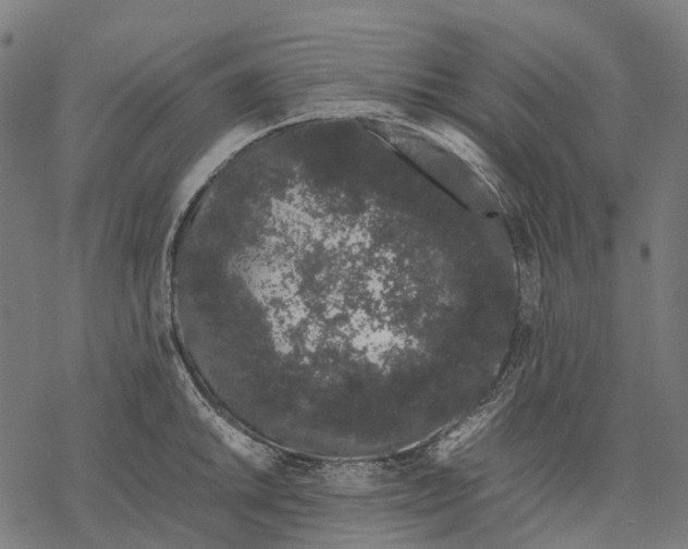 X0000067871046200605111754