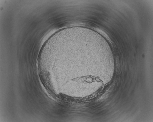 X0000067871047200605111754