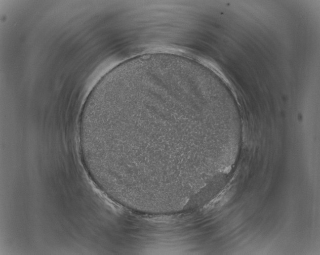 X0000067871048200605111754