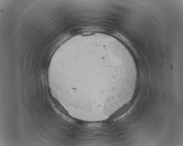 X0000067871049200605111754