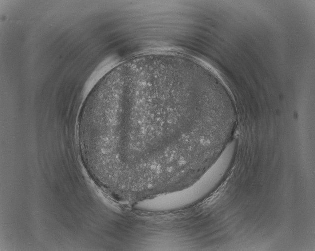 X0000067871050200605111754