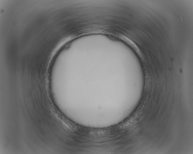 X0000067871051200605111754