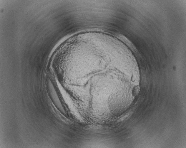 X0000067871052200605111754