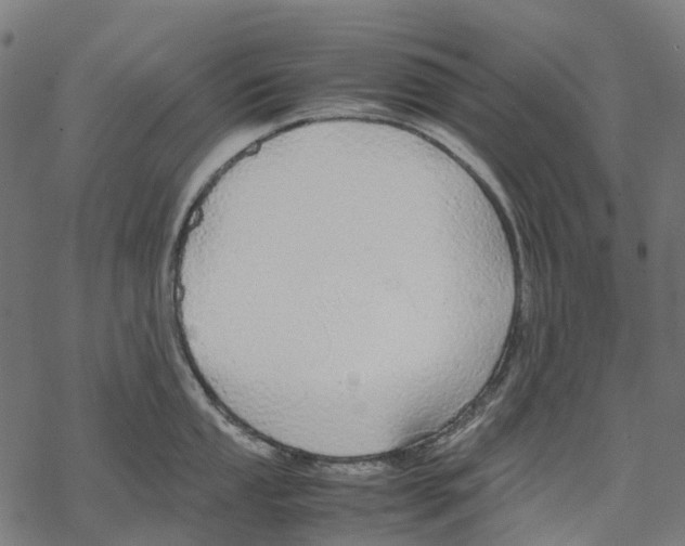 X0000067871053200605111754