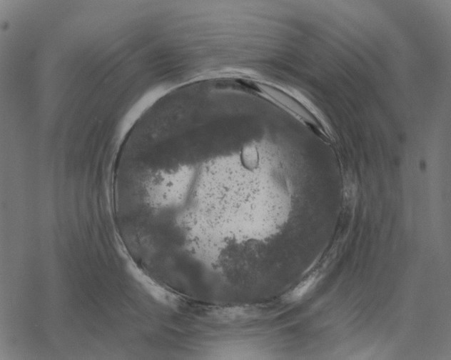 X0000067871054200605111754