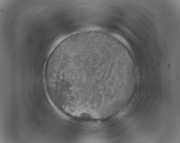 X0000067871055200605111754