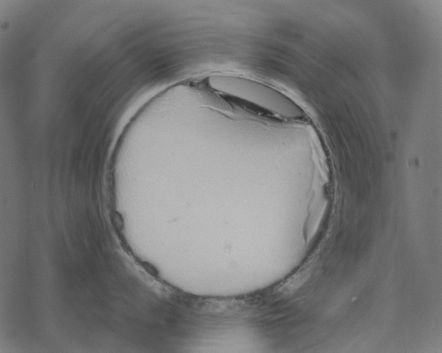 X0000067871056200605111754