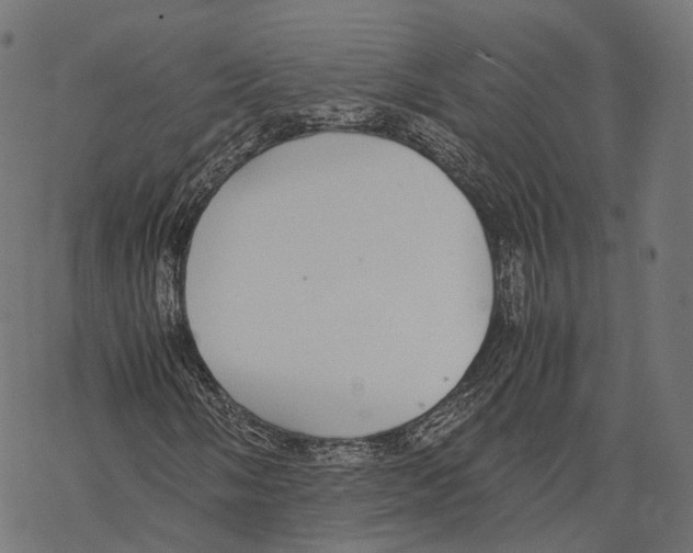 X0000067871058200605111754