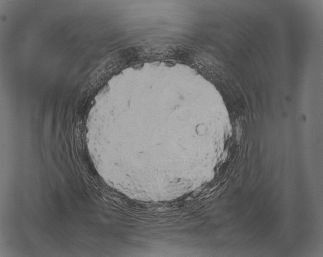 X0000067871059200605111754