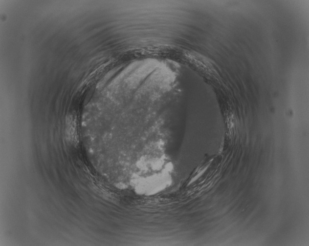 X0000067871060200605111754