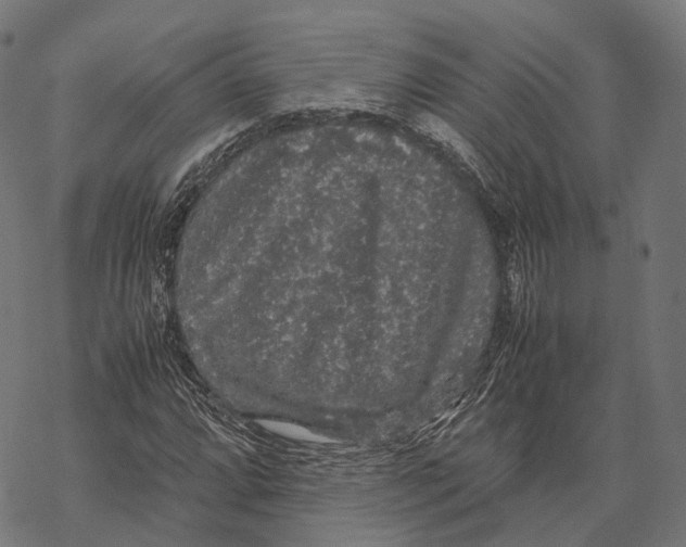 X0000067871064200605111754