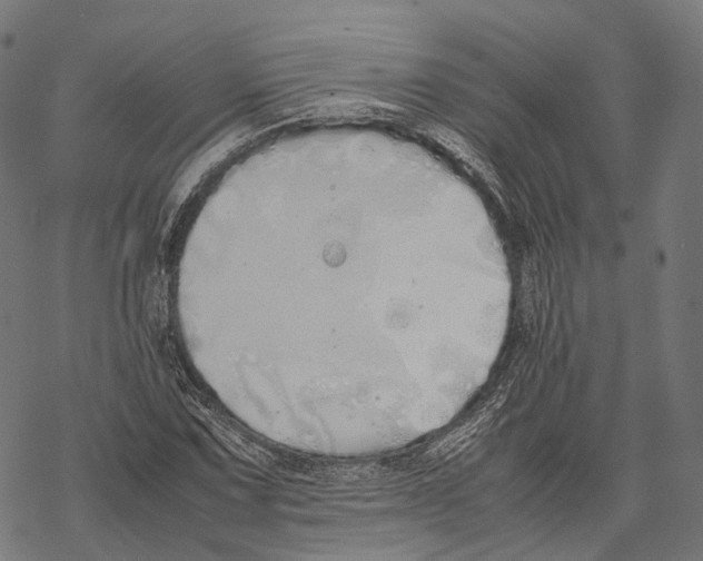 X0000067871067200605111753