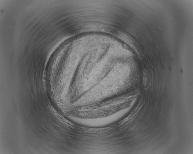 X0000067871068200605111753