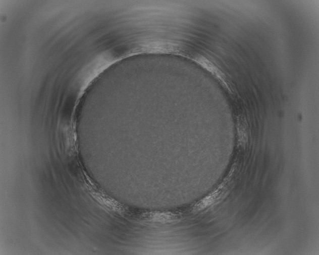 X0000067871070200605111753