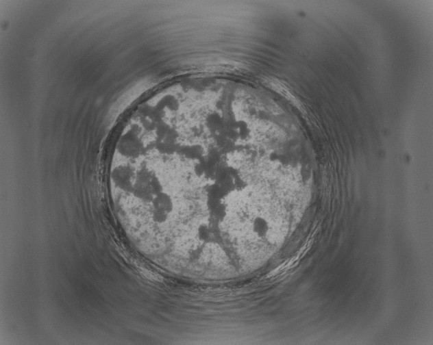 X0000067871071200605111753