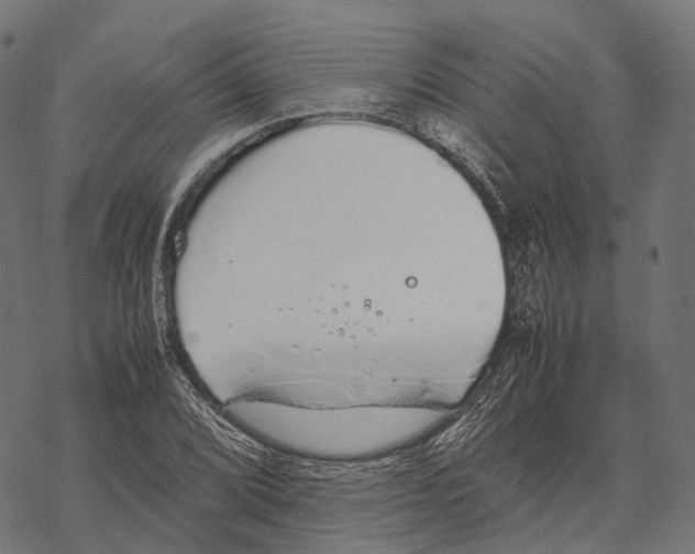 X0000067871072200605111753