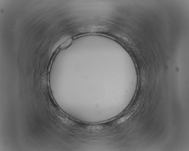 X0000067871073200605111753