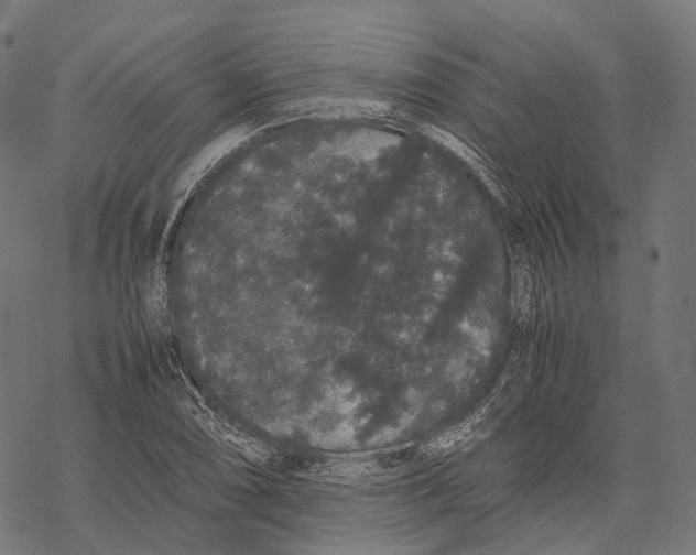 X0000067871074200605111753