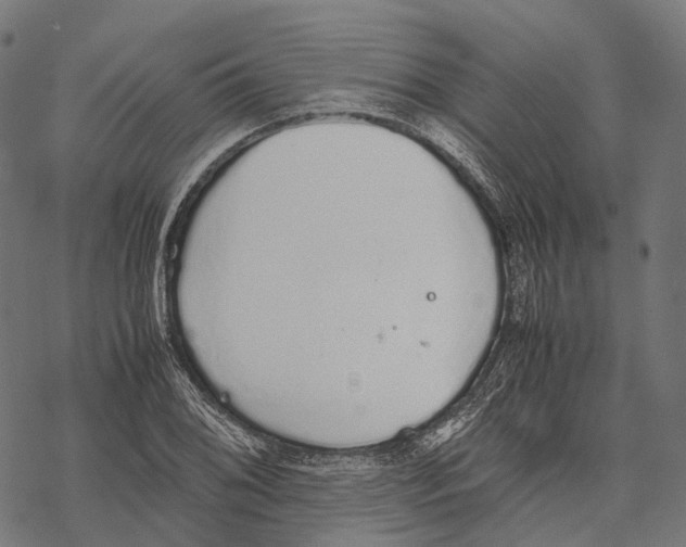 X0000067871076200605111753