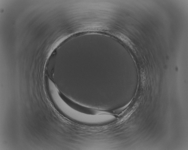 X0000067871077200605111753