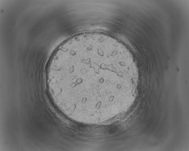 X0000067871079200605111753