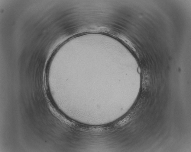 X0000067871080200605111753