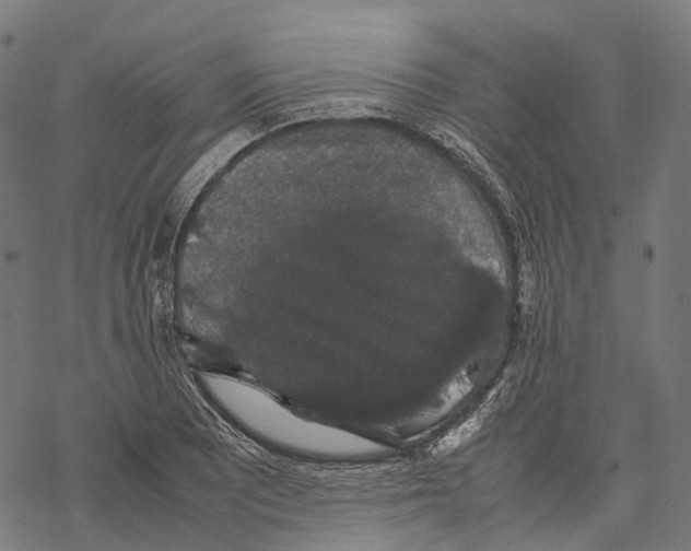 X0000067871081200605111753