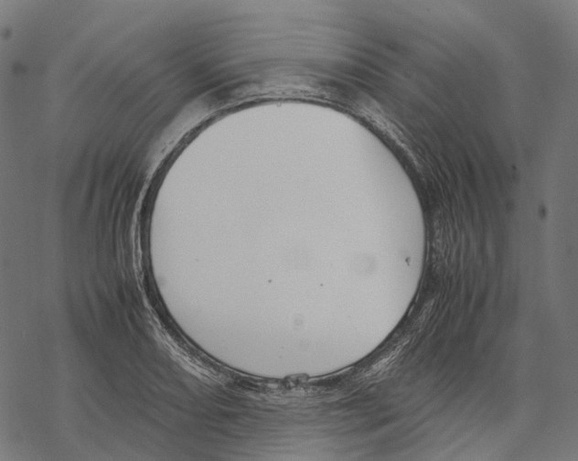 X0000067871082200605111753