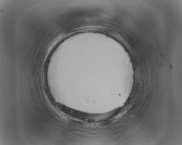 X0000067871083200605111753