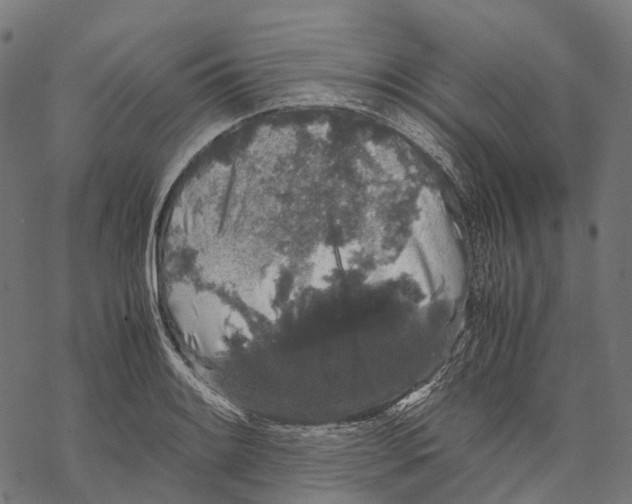 X0000067871084200605111753