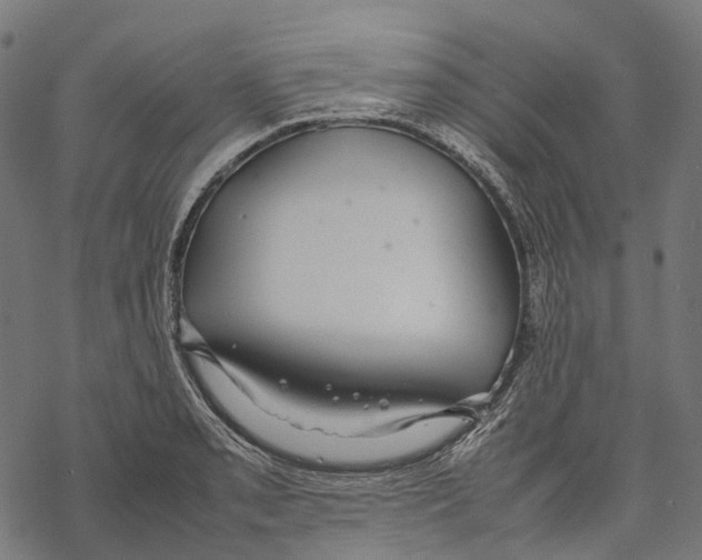 X0000067871085200605111753