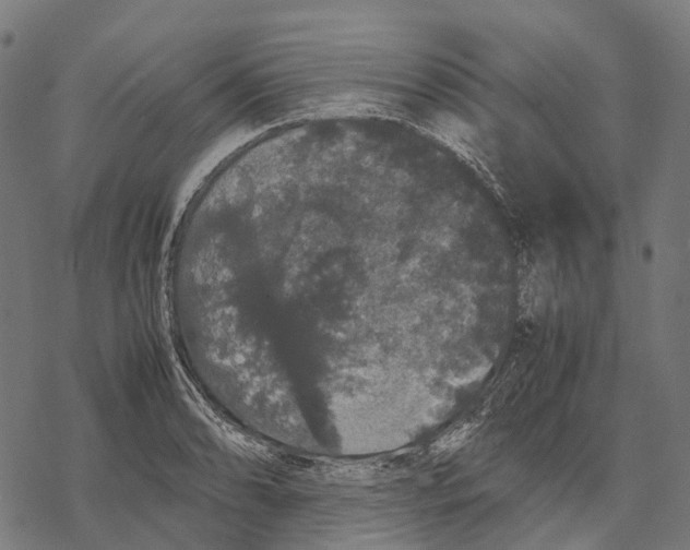 X0000067871086200605111753