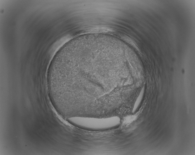 X0000067871087200605111753